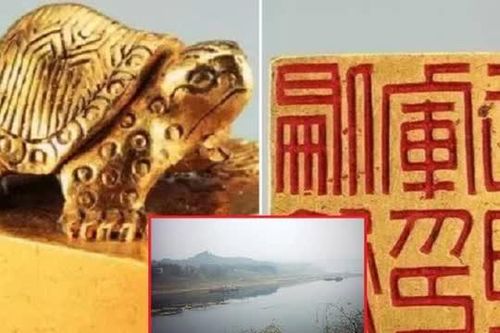 Ngư dân nhặt được rùa vàng nhỏ liền đổi lấy 1 triệu đồng, khóc ròng khi biết giá trị thật lên đến 660 tỷ