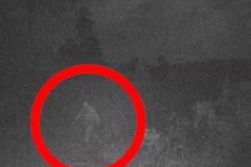 Quái vật Bigfoot hiện nguyên hình giữa màn đêm, ảnh cận cảnh khiến netizen thế giới sửng sốt?