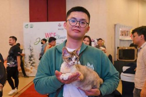 Mèo vài trăm triệu đồng tham gia thi hoa hậu quốc tế tại TPHCM