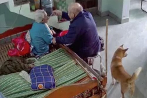 Cụ bà 'tung chiêu' trêu chọc, cụ ông liền có hành động đáp trả khiến triệu người ngỡ ngàng