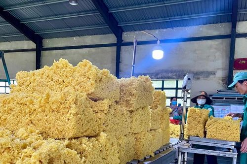 Phê duyệt vùng bảo hộ vệ sinh khu vực lấy nước sinh hoạt tại Nhà máy chế biến mủ cao su Chư Păh