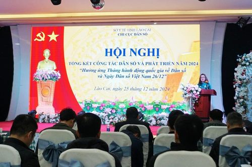 Tổng kết công tác dân số và phát triển năm 2024