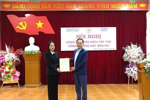 Huyện Bảo Yên tổ chức Hội nghị công bố nhãn hiệu tập thể 'Hồng không hạt Bảo Hà'