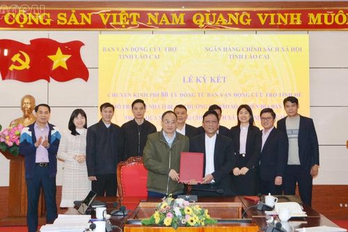 Chuyển kinh phí cho Ngân hàng Chính sách xã hội Chi nhánh tỉnh Lào Cai hỗ trợ cho vay làm nhà ở đối với các hộ bị ảnh hưởng bão số 3