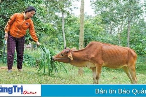 Đồng hành để phụ nữ biên cương vươn lên
