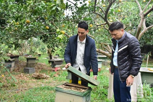 Làm giàu từ mô hình nông nghiệp tổng hợp
