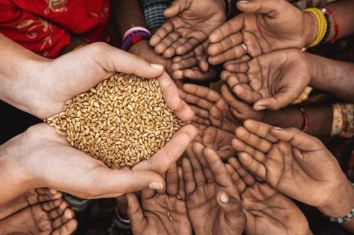 Liên Hợp Quốc: Nạn đói nghiêm trọng hơn trong khi tiền viện trợ ít đi