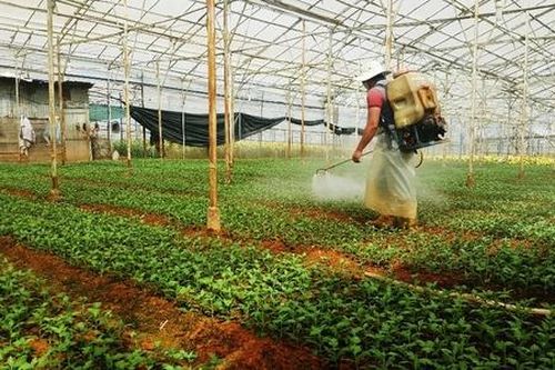 Nông dân, HTX có nên mua thuốc bảo vệ thực vật online?