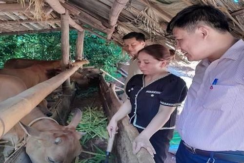 Tín dụng chính sách xã hội - Ý Đảng, lòng dân – kết nối sức mạnh - phát triển bền vững