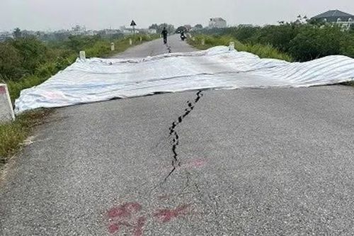 Cấp bách xử lý sự cố lún, nứt đê tại Phúc Thọ