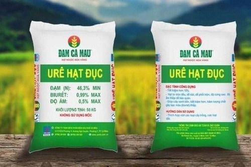 Đạm Cà Mau (DCM) đặt mục tiêu lợi nhuận giảm nhẹ trong năm 2025