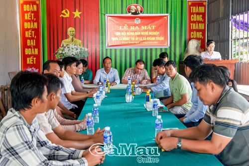 Phát huy kết quả thực hiện Chỉ thị 17