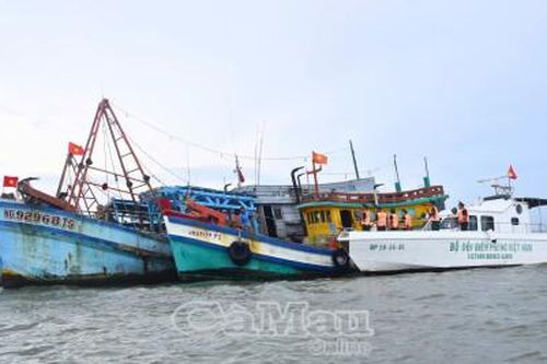 Chủ động theo dõi, ứng phó bão số 10