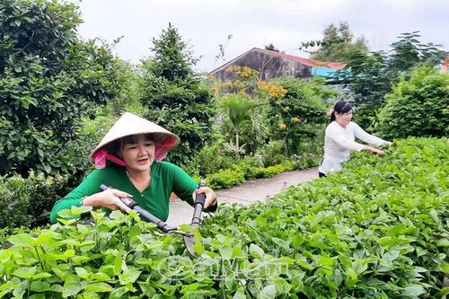 Ðộng lực cho nhiều mục tiêu mới