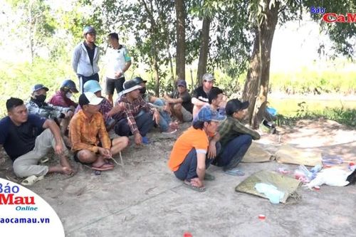 Cà Mau: Triệt xóa tụ điểm đá gà, tạm giữ 16 đối tượng liên quan