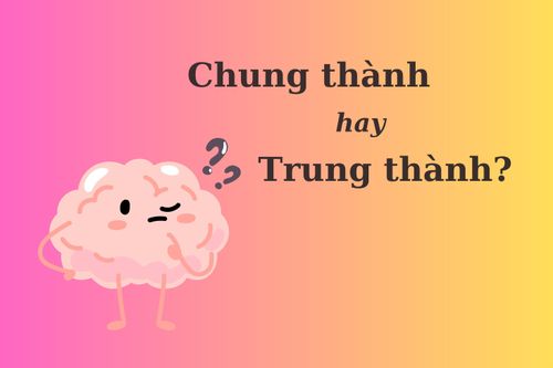 Thử thách Tiếng Việt: 'Chung thành' hay 'trung thành'?