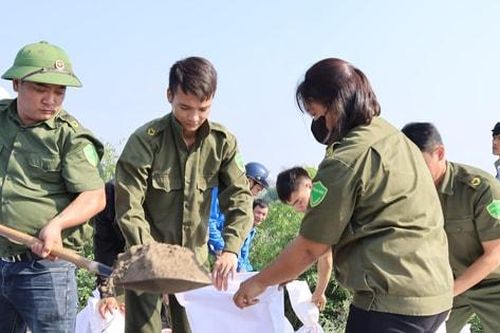 Hà Nội khẩn cấp xử lý sự cố nứt mặt đê Ngọc Tảo, sạt lở bờ tả sông Hồng
