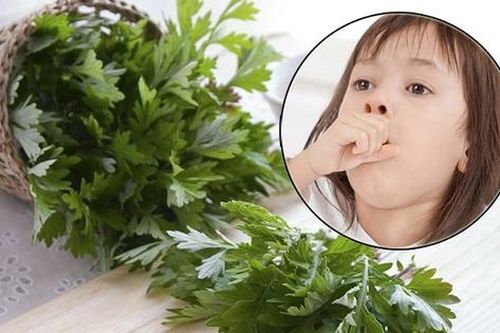 Cách dùng ngải cứu trong chăm sóc sức khỏe