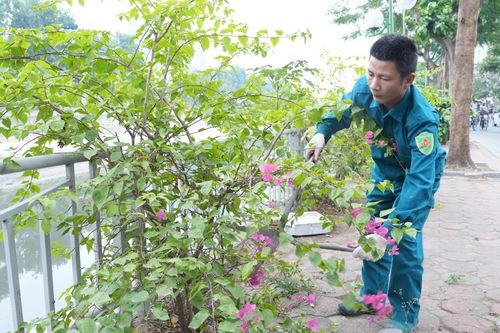 Nhiều mô hình, cách làm hay trong công tác đảm bảo môi trường Thủ đô