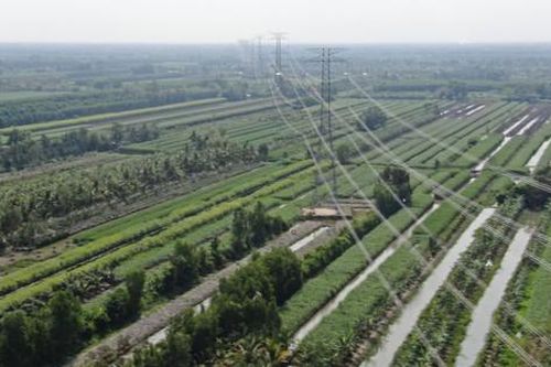 PTC4: năm 2024 sản lượng điện truyền tải ước đạt 110,5 tỷ kWh