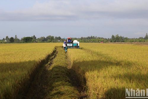 Tạo nội lực từ sản phẩm OCOP