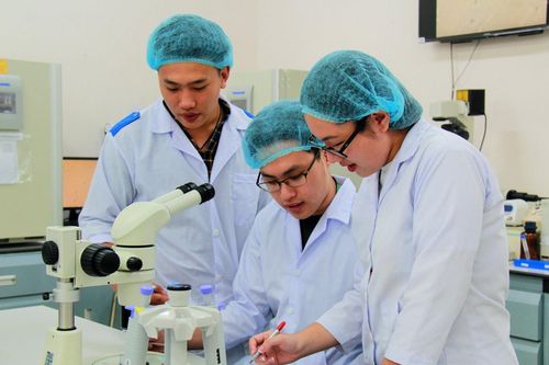 Lần đầu tiên Đại học Quốc gia Thành phố Hồ Chí Minh vượt mốc 3.000 bài công bố quốc tế