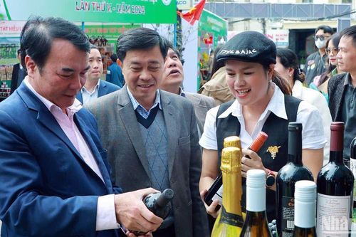 Trải nghiệm phố rượu vang, trà, cà-phê và đặc sản Đà Lạt - Lâm Đồng