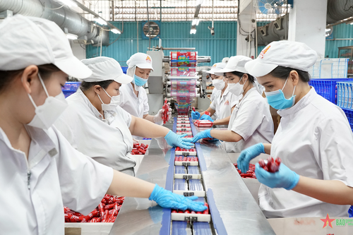 TP Hồ Chí Minh đặt mục tiêu tăng trưởng năm 2025 trên 10%