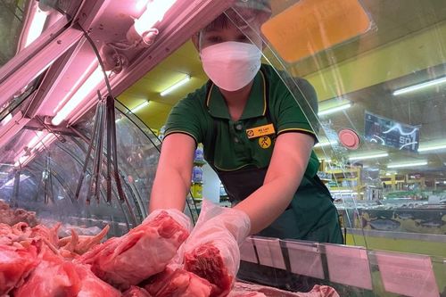 Nguồn cung ứng thịt dồi dào, không lo đứt hàng
