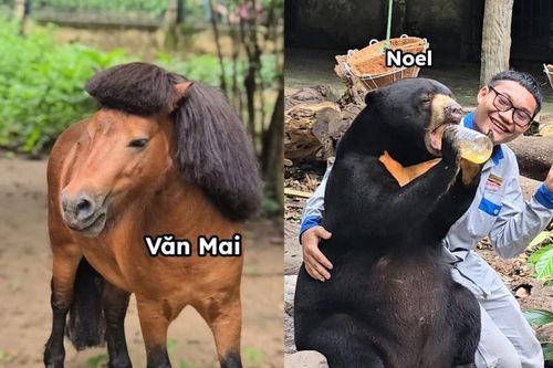 Dàn 'idol giới trẻ' với những cái tên độc lạ ở Thảo Cầm Viên
