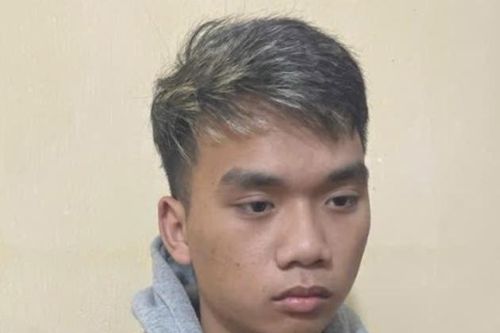 Bắt đối tượng truy nã đặc biệt nguy hiểm ở Hà Nam