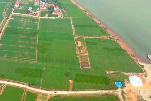 Bắc Ninh cưỡng chế thu hồi đất làm Cảng hàng hóa