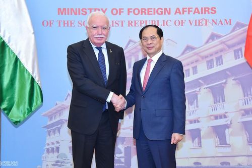 Phó Thủ tướng, Bộ trưởng Ngoại giao Bùi Thanh Sơn tiếp Đặc phái viên của Tổng thống Palestine Mahmoud Abbas