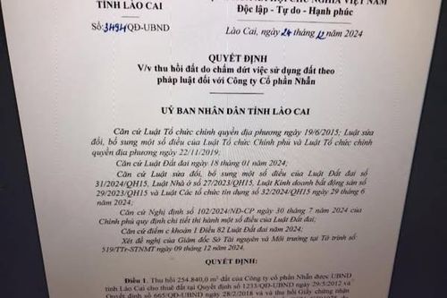 Thu hồi trên 25 ha đất của một doanh nghiệp tư nhân khai thác vàng ở Lào Cai
