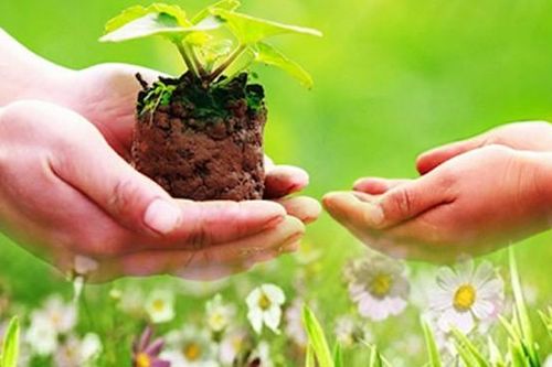 Khi nào con người mới thực sự 'ổn'?