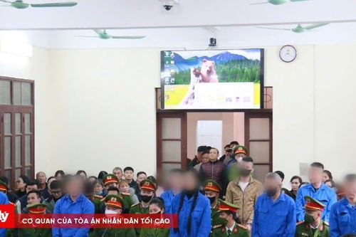 Chống đối lực lượng cưỡng chế, 8 đối tượng lĩnh án