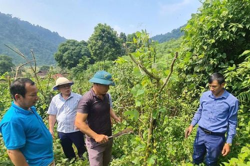 Bảo vệ, phát huy giá trị di sản thiên nhiên Khu Dự trữ sinh quyển miền Tây Nghệ An