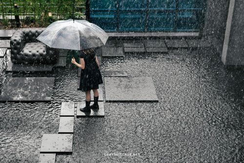 Độc đáo quán cà phê ở Hàn Quốc cứ 15 phút lại đổ mưa một lần