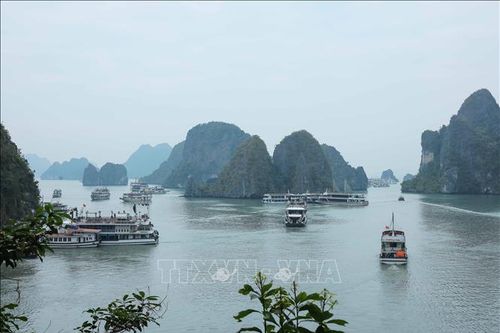 Thành phố Hạ Long thúc đẩy kinh tế xanh trong kỷ nguyên mới
