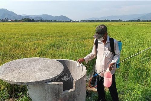 Ban hành Danh mục thuốc bảo vệ thực vật được phép sử dụng tại Việt Nam