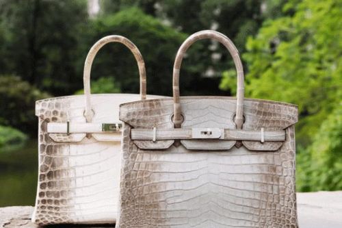 Túi Hermes bạch tạng là gì? Ở Việt Nam có sao nữ nào đang sở hữu túi xách đắt đỏ này?
