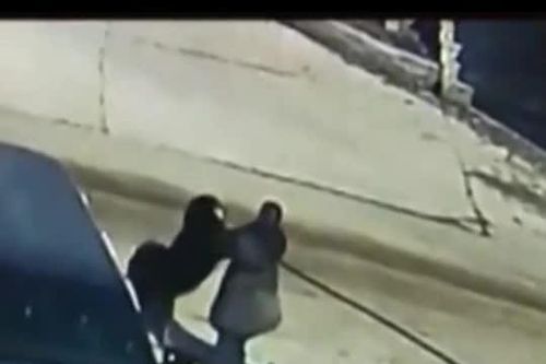 CLIP: Người đàn ông dùng võ thuật đối đầu với chó Ngao Tây Tạng và cái kết bất ngờ