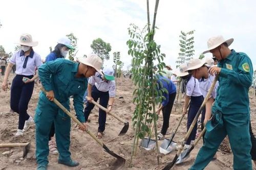 Tạo điều kiện để mọi thành phần tham gia trồng cây, trồng rừng