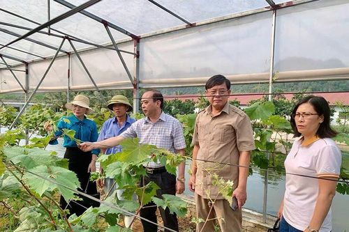 Tiếp sức cho nông dân làm giàu