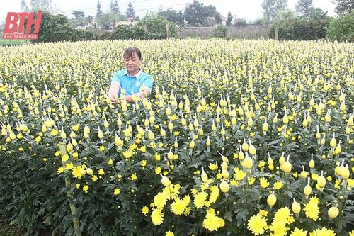Những dấu ấn thành tựu