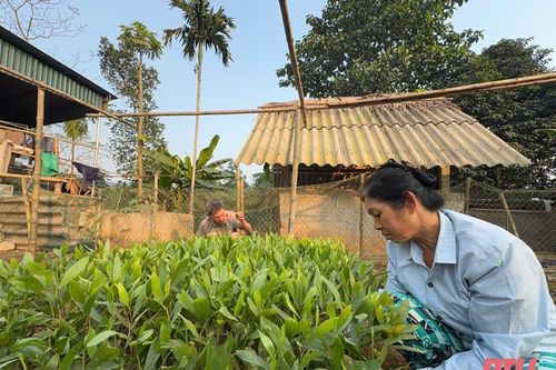 Về xã đặc biệt khó khăn Luận Khê