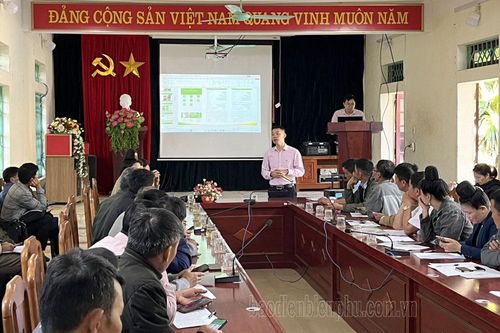 Nâng cao hiệu quả quản lý tín dụng chính sách