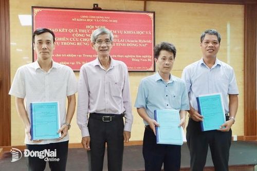 Bàn giao kết quả đề tài nghiên cứu chọn giống keo lai phục vụ trồng rừng kinh tế