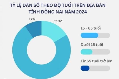 Đồng Nai là 1 trong 21 tỉnh, thành có mức sinh thấp của cả nước