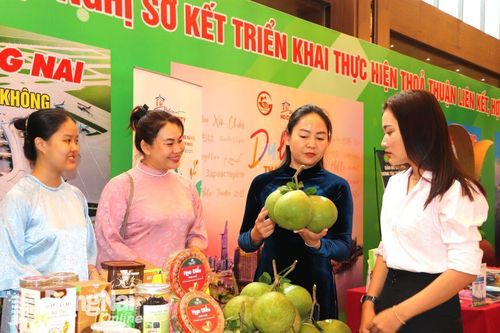 Đồng Nai quảng bá, xúc tiến du lịch đến các tỉnh Đông Nam Bộ
